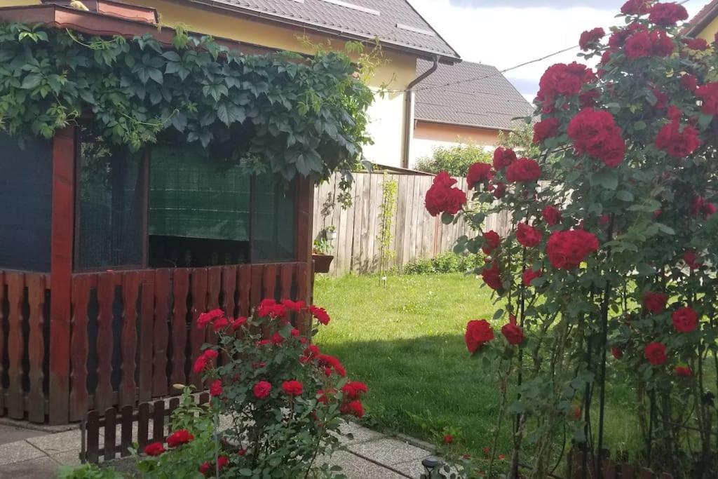 Casa Merilor I & II Braşov Exterior foto